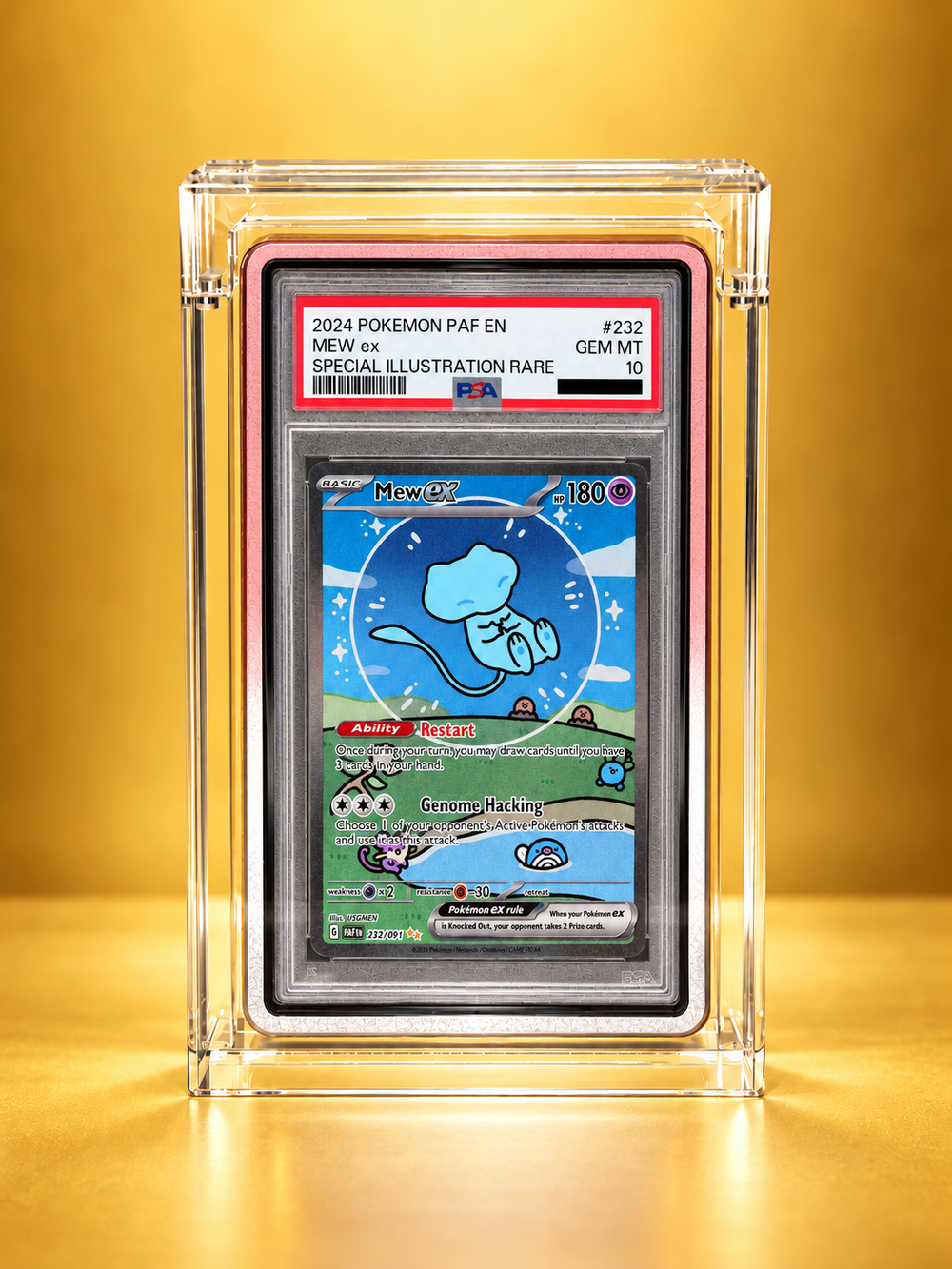 Chus Platinum Acrylic Display